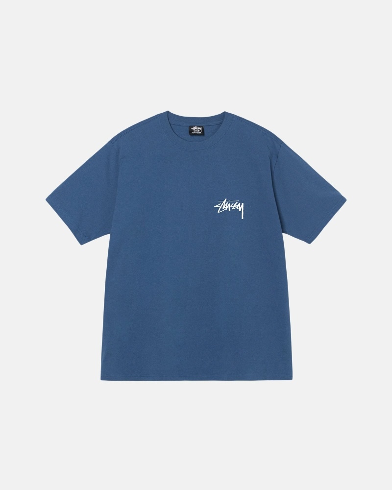Stussy Authentic New Era T-shirts Herren Blau | DE0000093