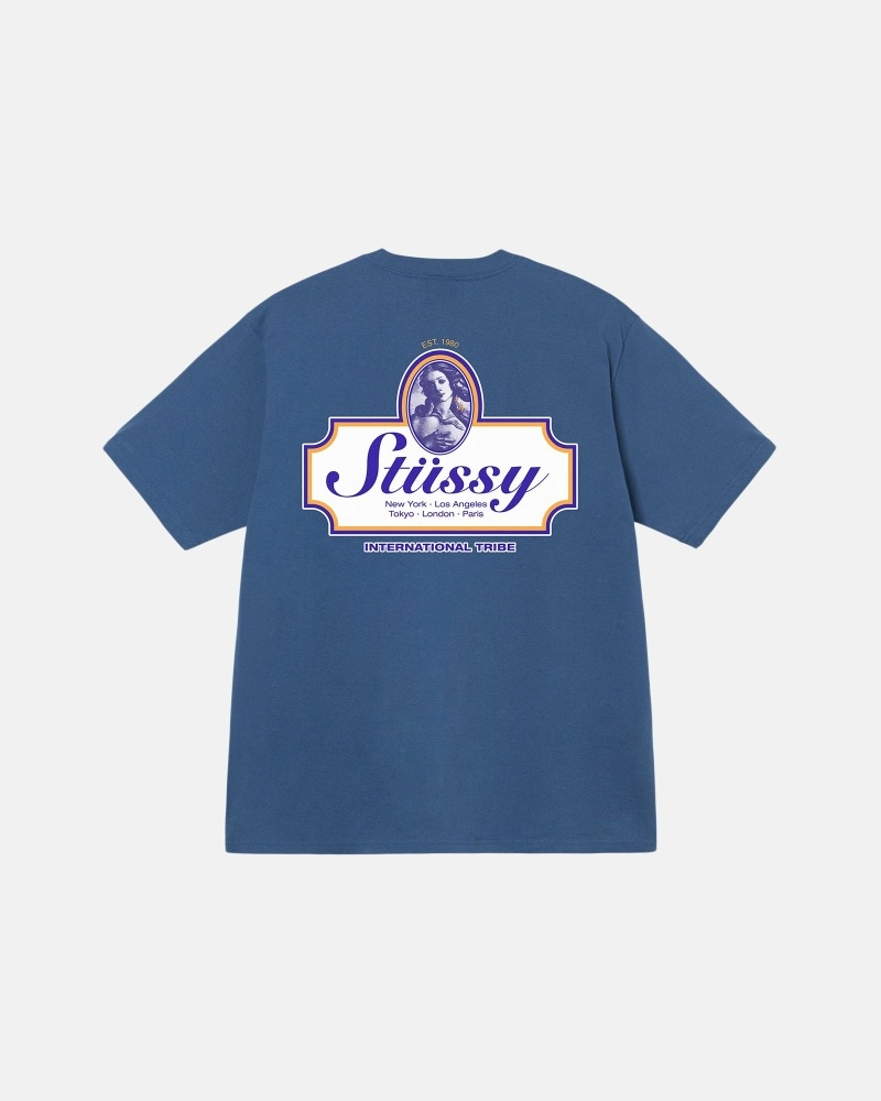 Stussy Authentic T-shirts Herren Blau | DE0000095