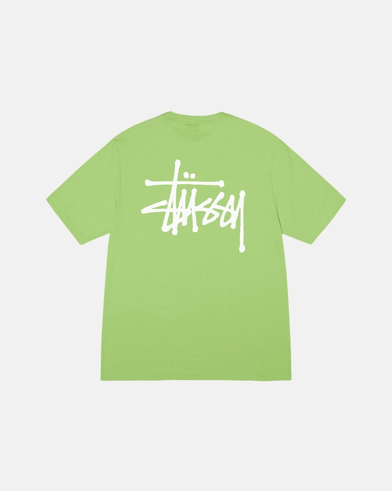 Stussy Basic T-shirts Herren Grün | DE0000108