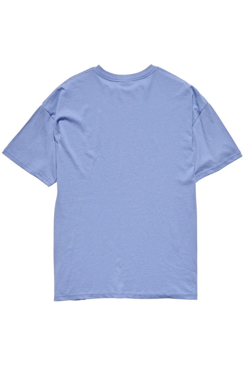 Stussy City Stack Relaxed T-shirts Damen Blau | DE0000126