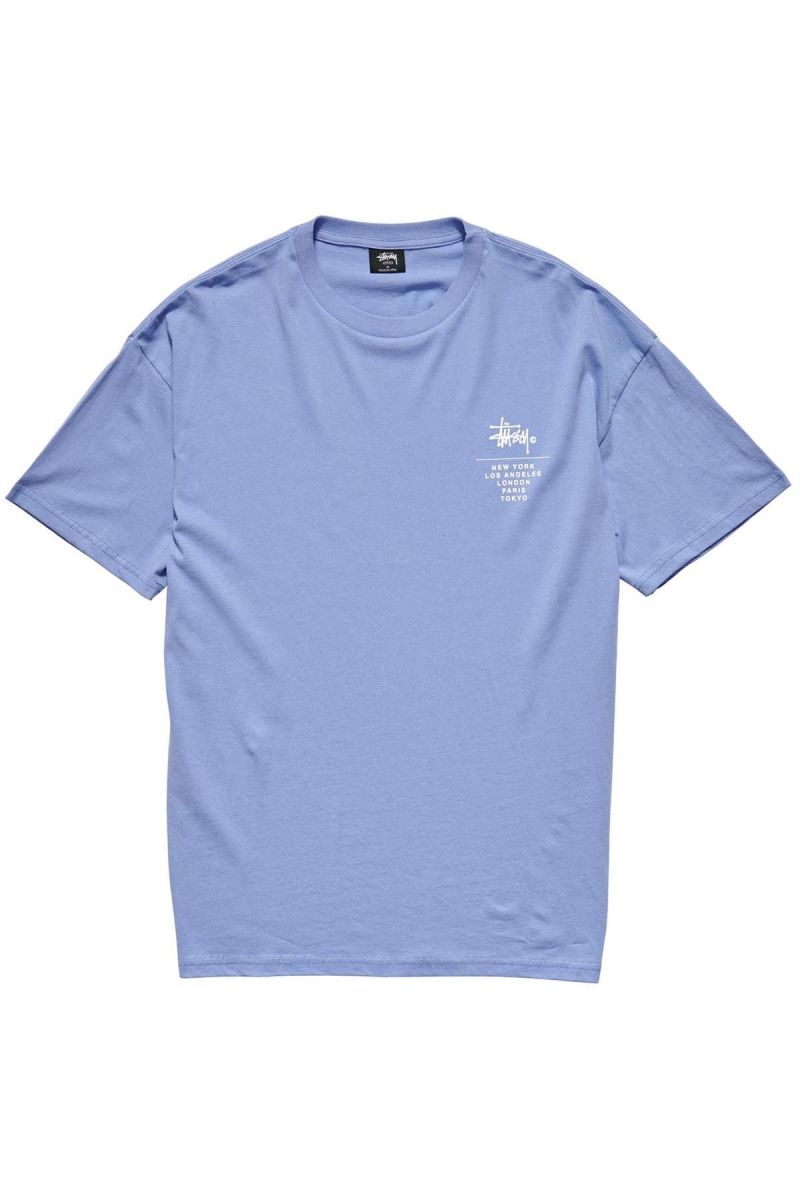 Stussy City Stack Relaxed T-shirts Damen Blau | DE0000126