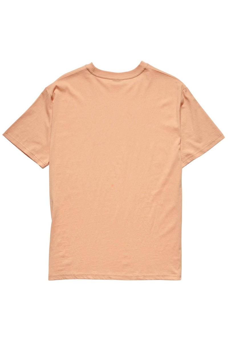 Stussy Collegiate BF T-shirts Damen Orange | DE0000132