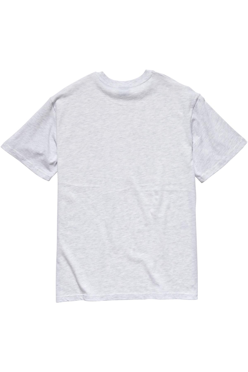 Stussy Collegiate BF T-shirts Damen Weiß | DE0000134