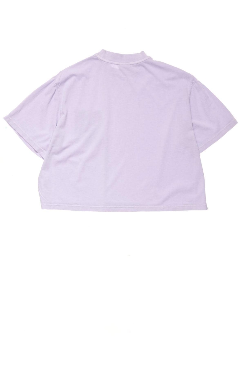 Stussy Designs Pocket Boxy T-shirts Damen Rosa | DE0000152