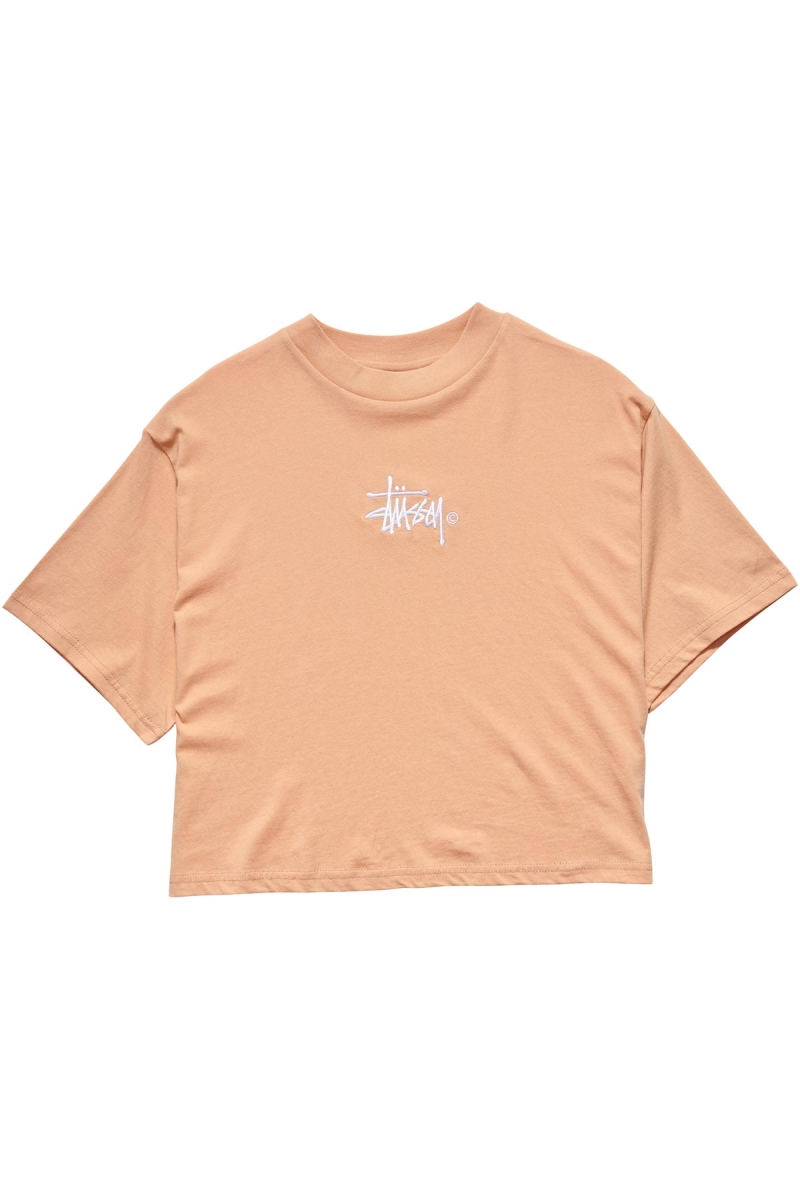 Stussy Graffiti Boxy T-shirts Damen Orange | DE0000174