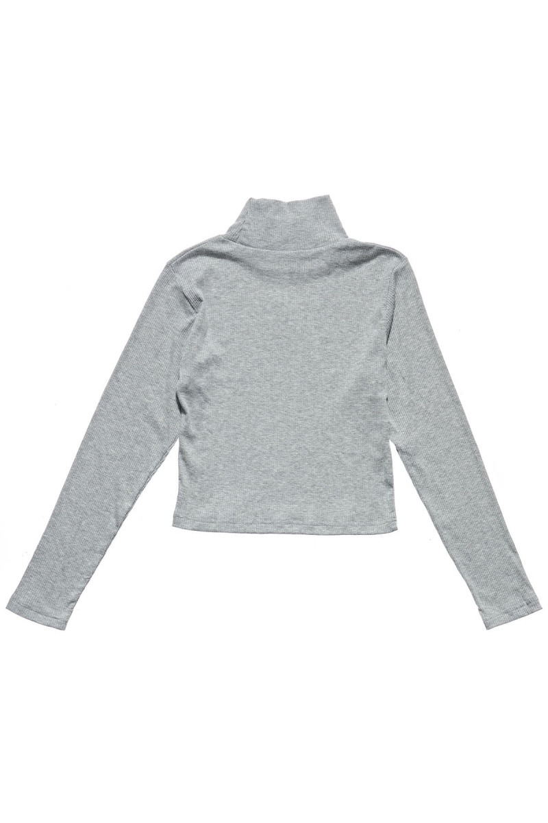 Stussy Leigh Turtleneck Sweatshirts Damen Grau | DE0000546