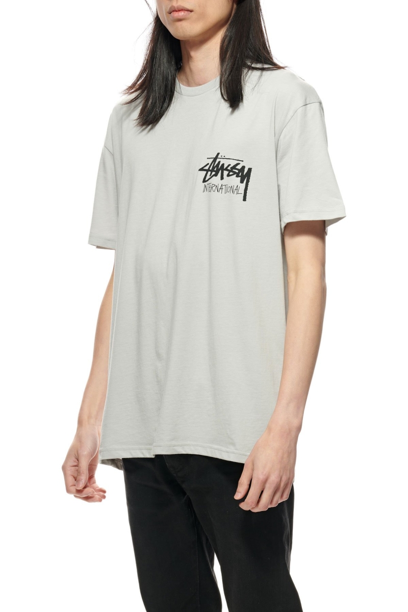 Stussy Solid Stock International SS T-shirts Herren Grau | DE0000267