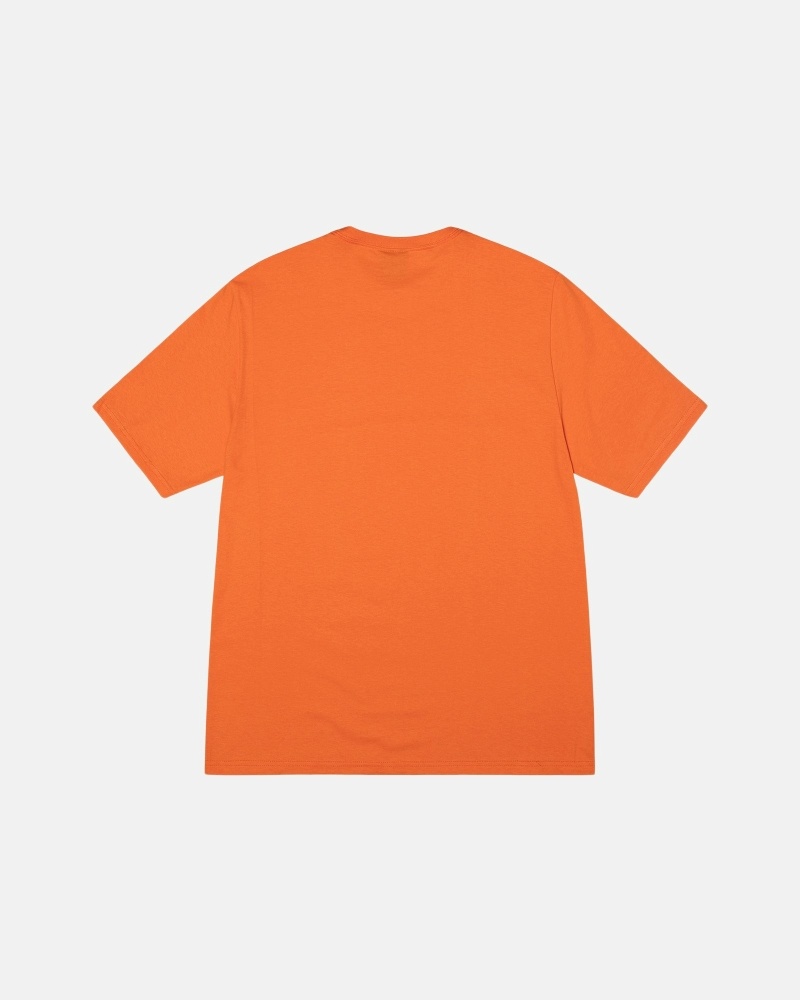 Stussy Stock Box T-shirts Herren Koralle | DE0000273