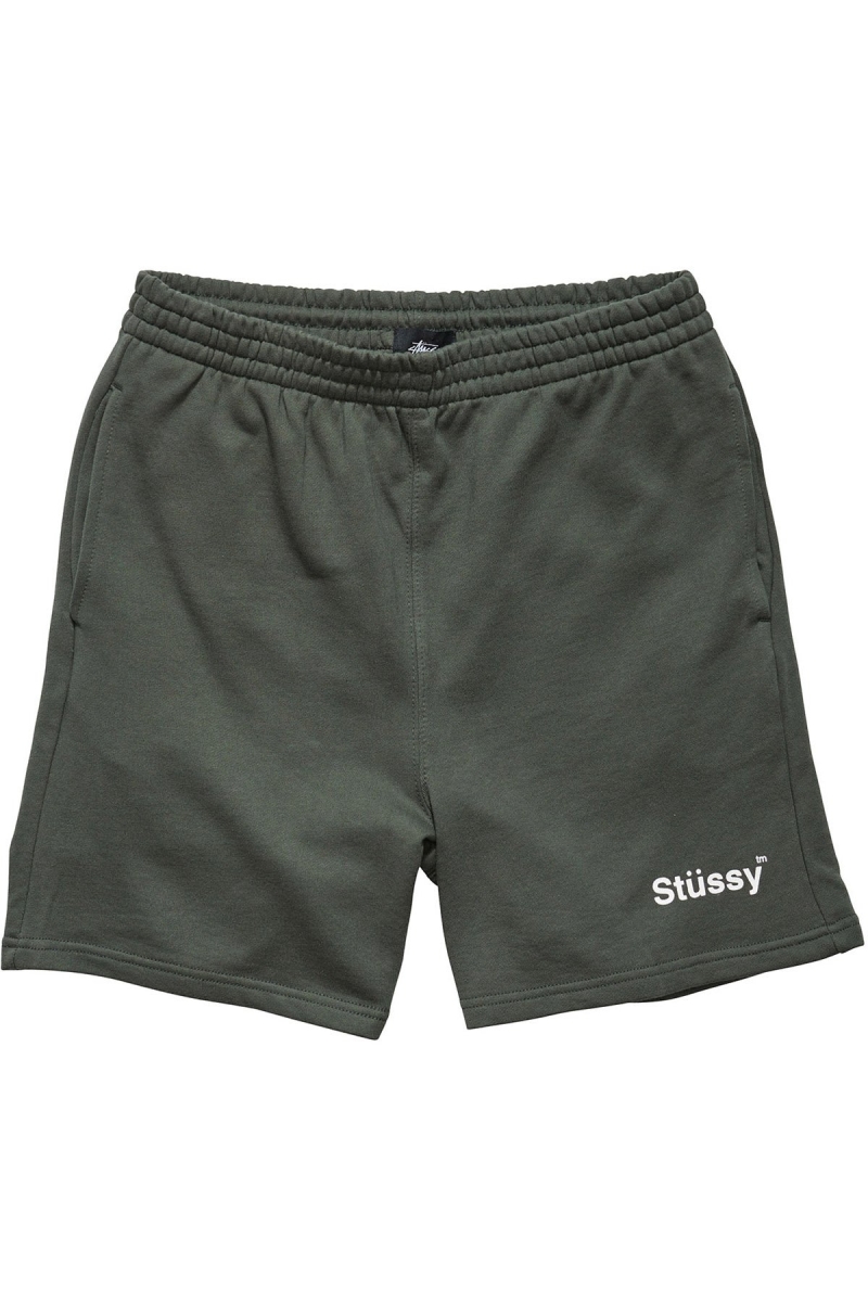 Stussy Text Fleece Kurzes Sportbekleidung Herren Grün | DE0000417