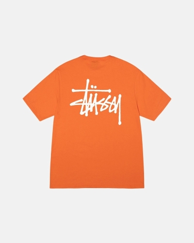 Stussy Basic T-shirts Herren Koralle | DE0000110