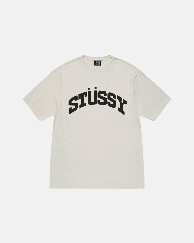 Stussy Block Sport Pigment Dyed T-shirts Herren Beige | DE0000115