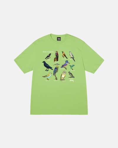 Stussy California Birds T-shirts Herren Grün | DE0000118