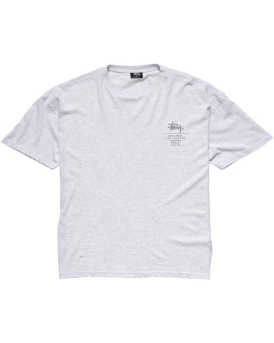 Stussy City Stack Relaxed T-shirts Damen Weiß | DE0000127