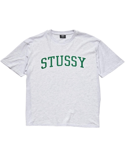 Stussy Collegiate BF T-shirts Damen Weiß | DE0000134