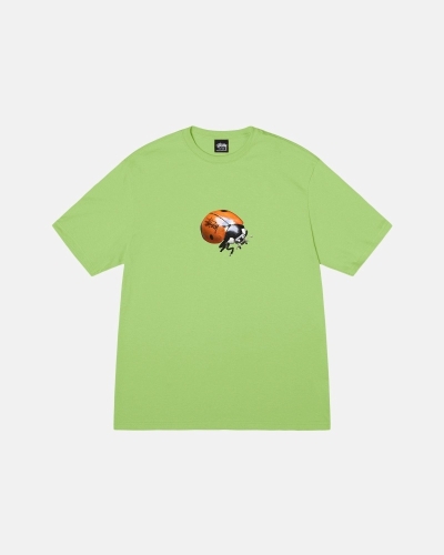 Stussy Ladybug T-shirts Herren Grün | DE0000232