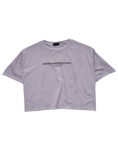 Stussy Text Waisted OS T-shirts Damen Grau | DE0000279